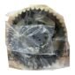 CHAIN SPROCKET HONDA LIVO